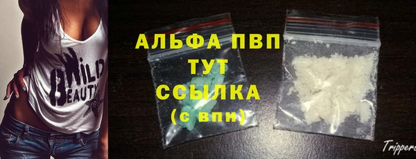 прущие крисы Верея
